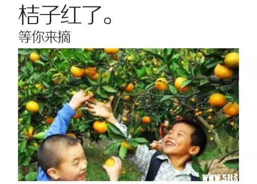 11.webp (1).jpg