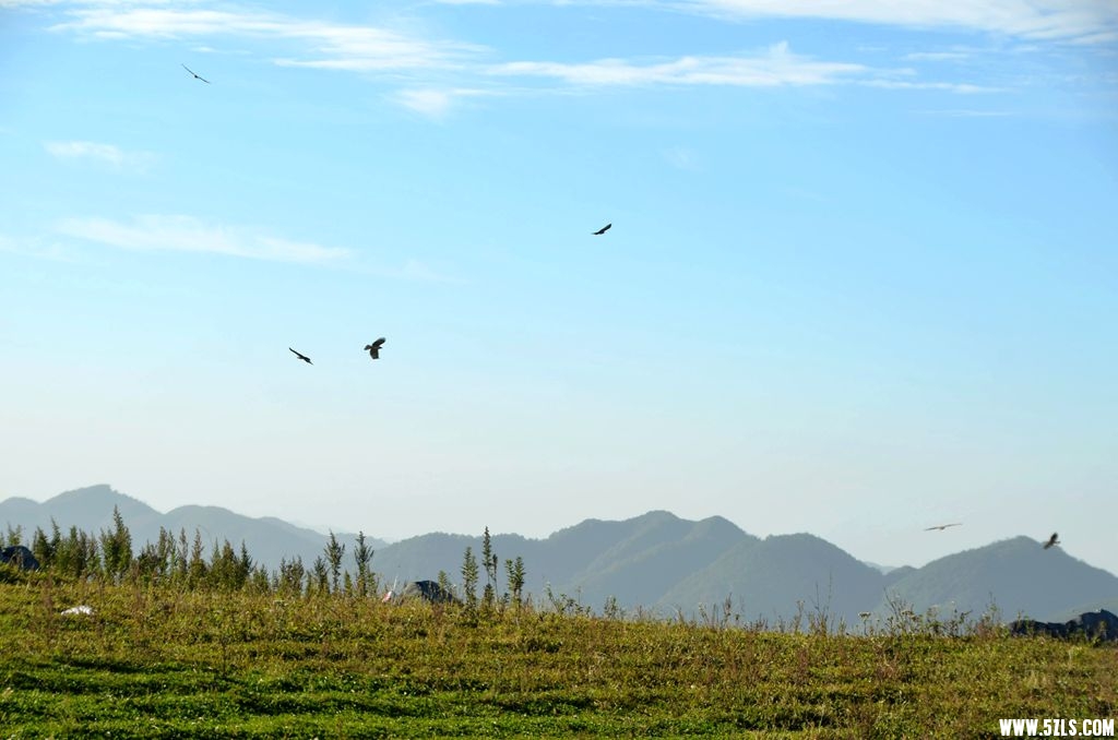 DSC_3294__.jpg