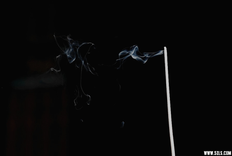DSC_9557__.jpg