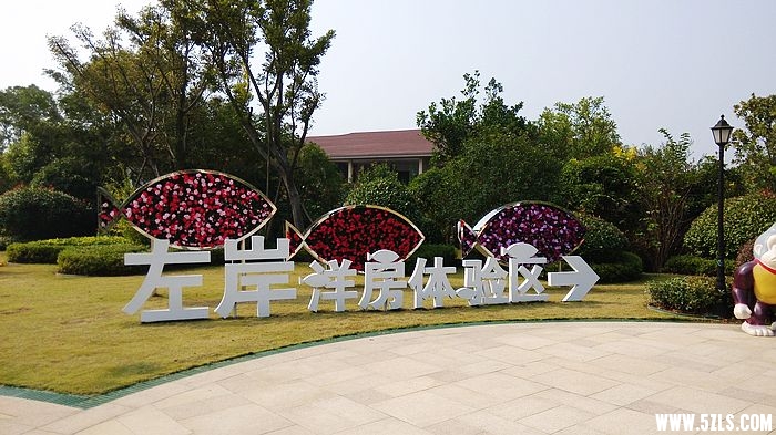 IMG_20151024_102603.jpg