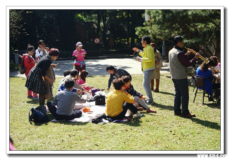 DSC00864.jpg