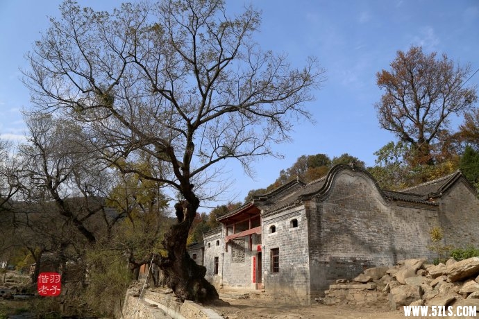 8315daebab64ad3d02d18a85a2591e84.jpg