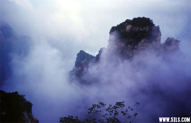 10315165_154320486136_2_看图王.jpg