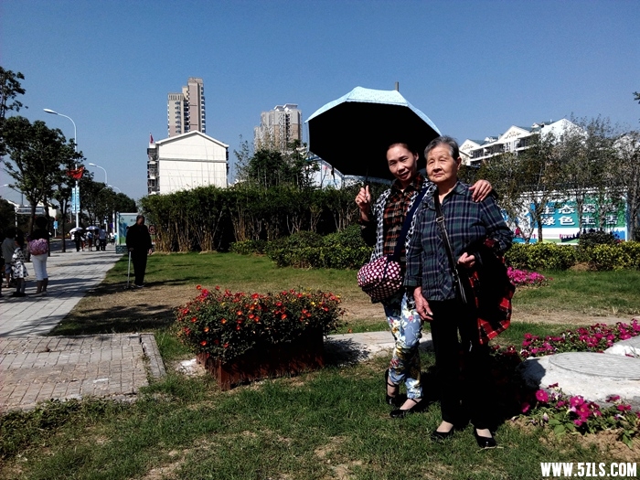 IMG_20151002_101241.jpg