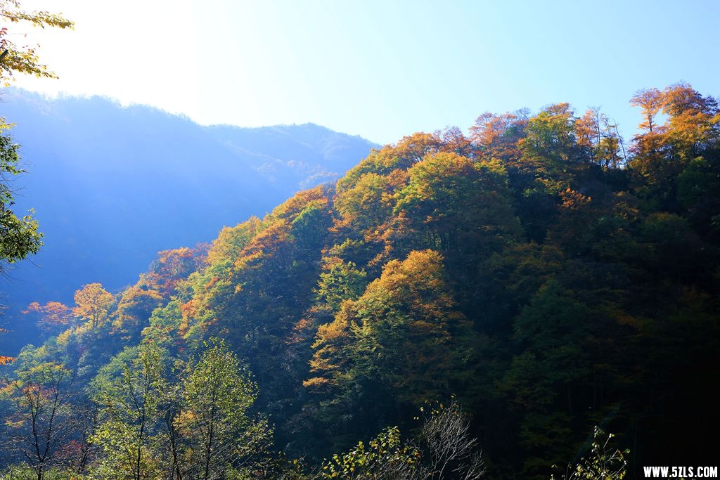 083A0952.JPG