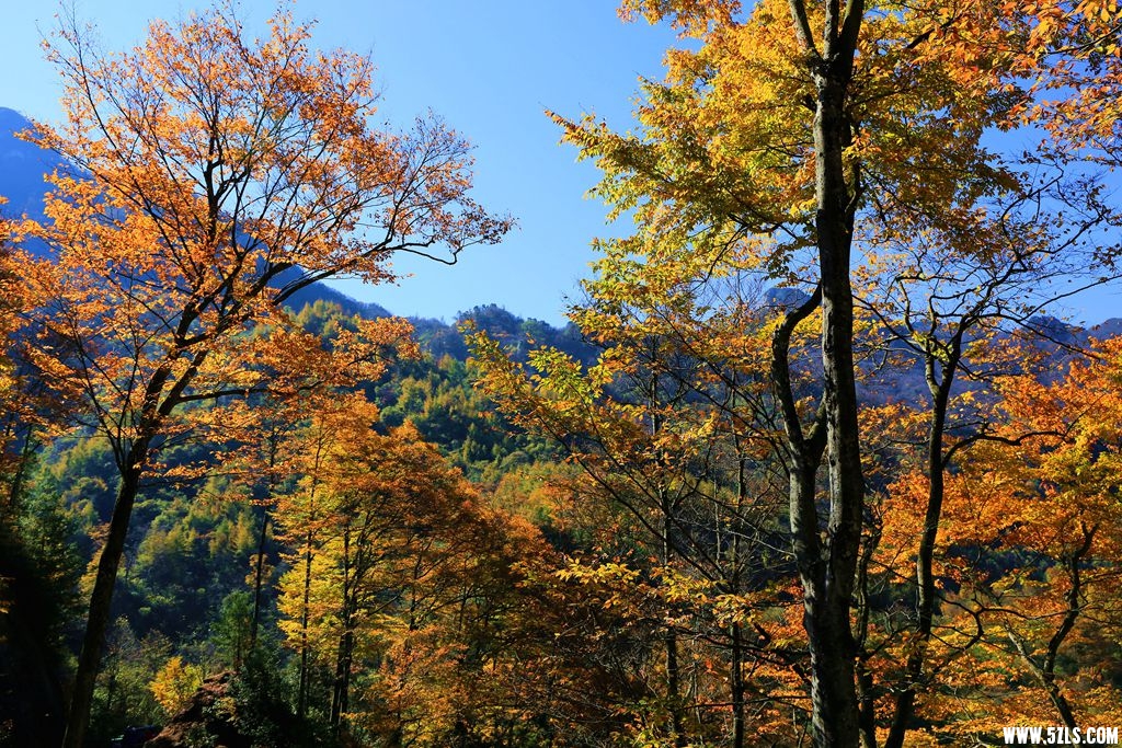 083A1095.JPG