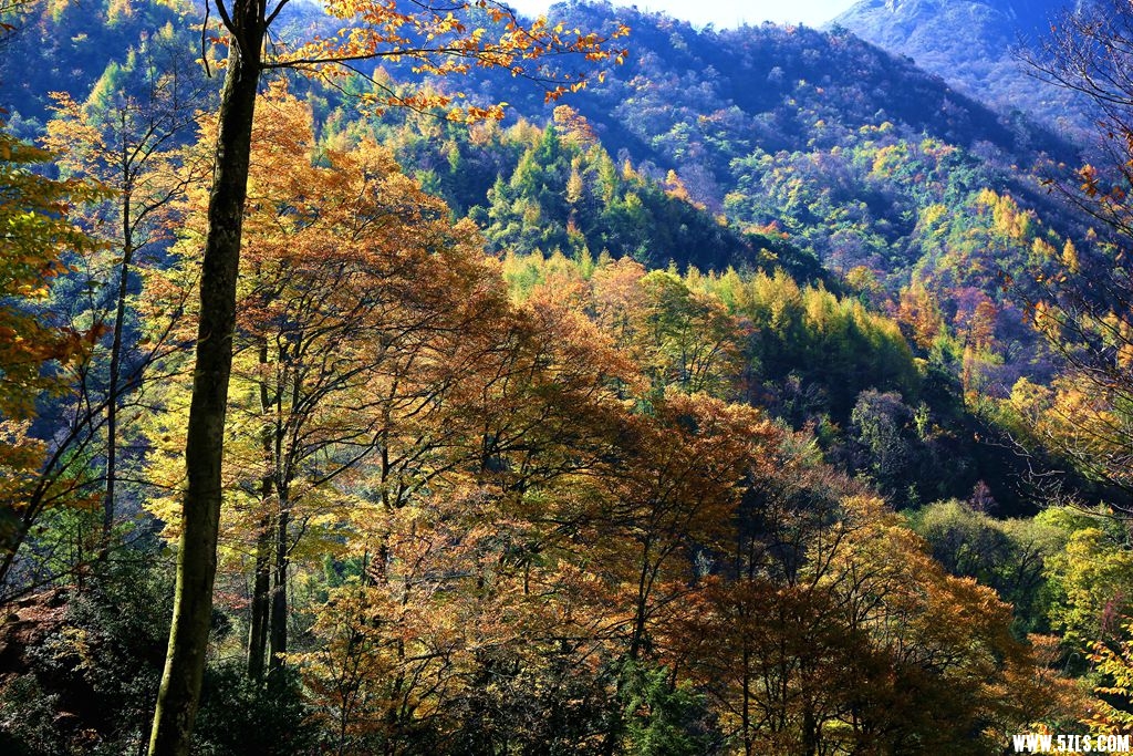 083A1102.JPG