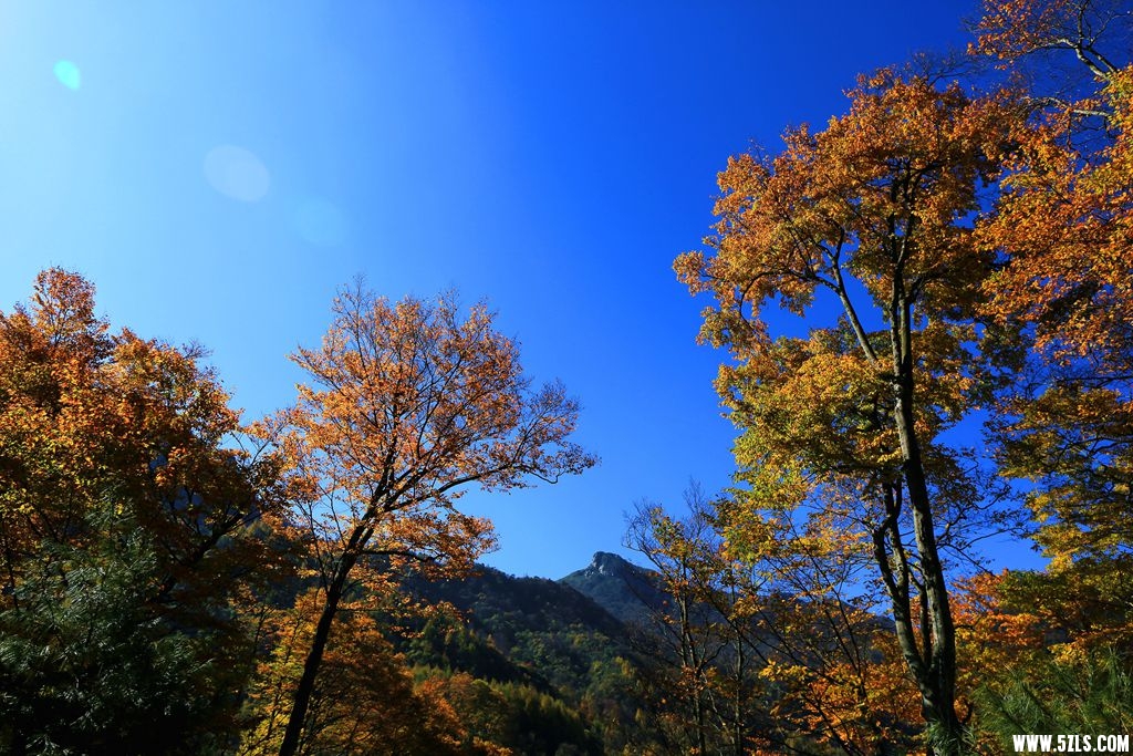 083A1106.JPG