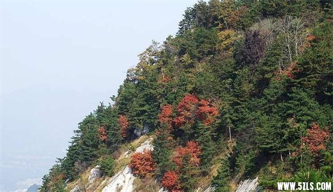 20071105_17d7f7ade4f57942a62ahVsXcbHOgtgQ_看图王.jpg