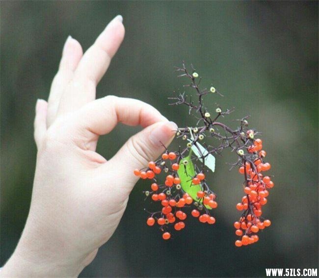 QQͼƬ20151123181300.jpg
