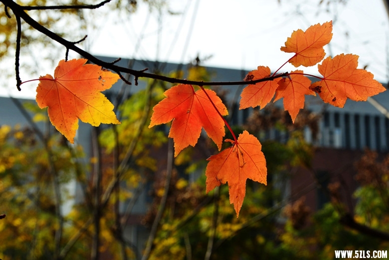 DSC_6936__.jpg