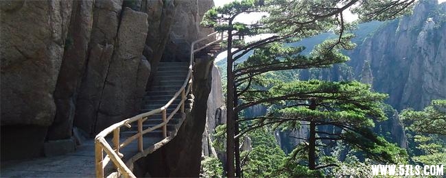 黄山3.jpg