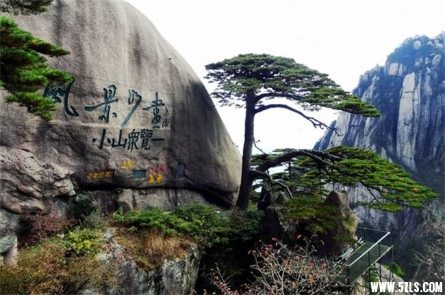 黄山2.jpeg