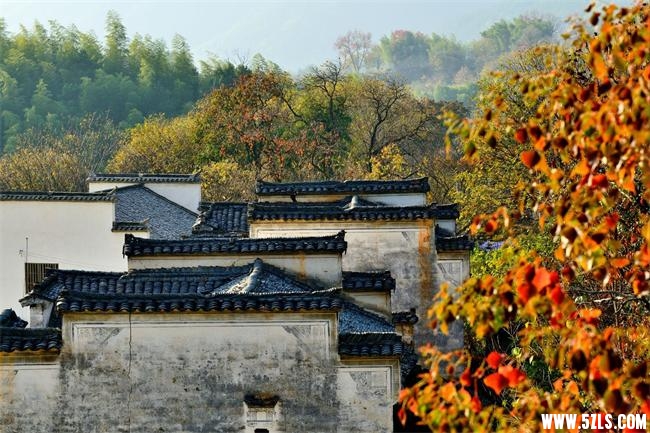塔川2.jpg