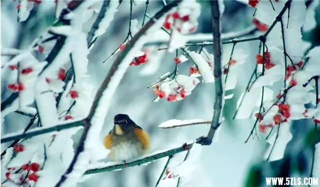 QQͼƬ20151209121919_ͼ.jpg