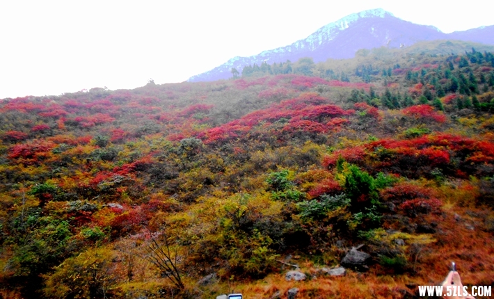 DSCN1598.JPG