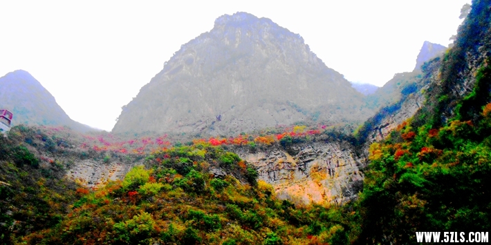 DSCN1731.JPG