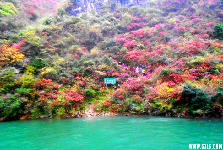 DSCN1750.JPG