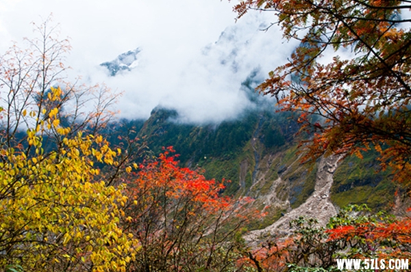 川西-83.jpg