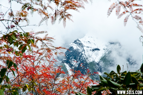 川西-84.jpg