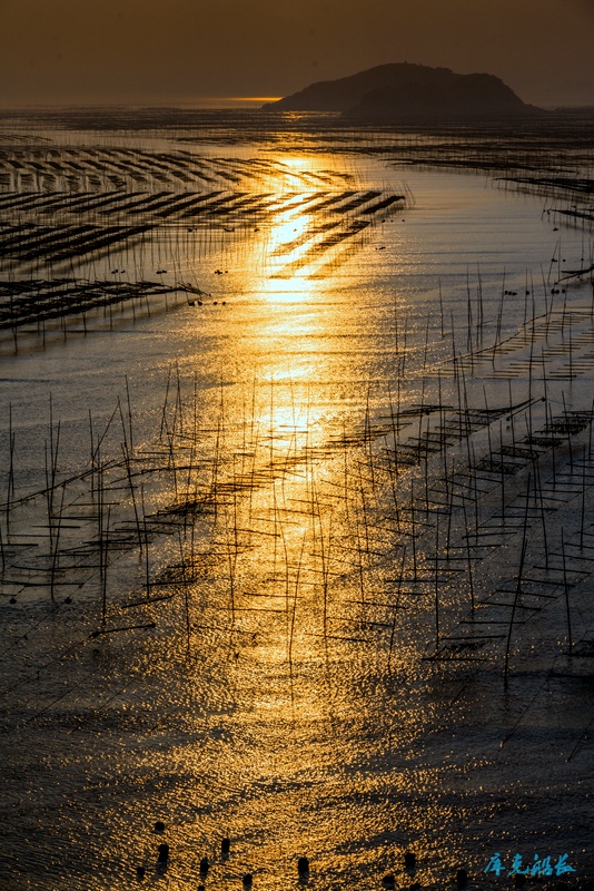 img_1800-编辑.jpg