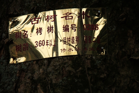 20160101Ƭ 102.jpg