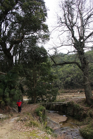 20160101Ƭ 106.jpg
