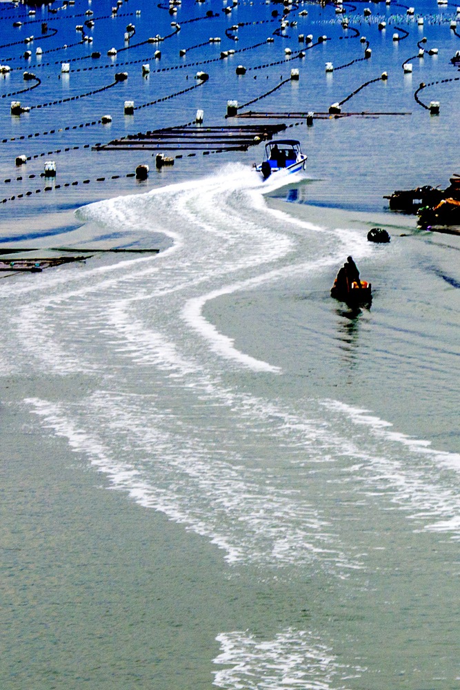 ϼ700020.jpg