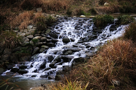 20160101Ƭ 233.jpg