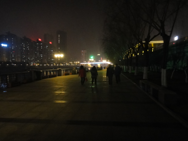 dsc08179.jpg