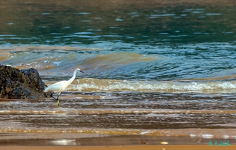 img_3003-编辑.jpg