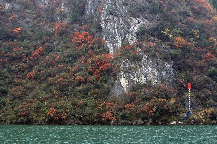 img_7012_.jpg