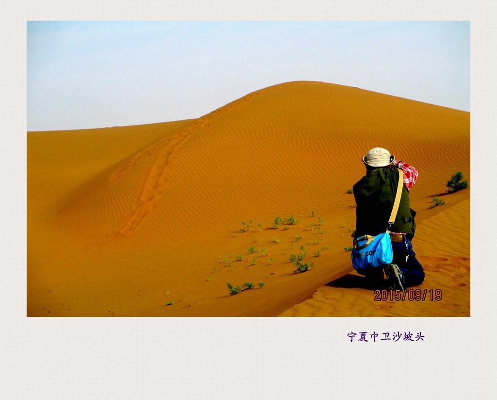 qq图片20150924141800_副本_副本_副本.jpg