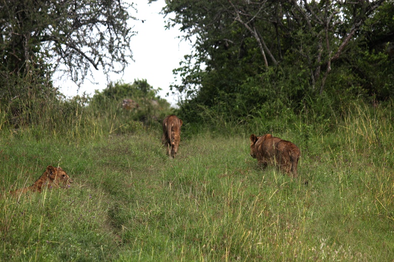 img_8018.jpg