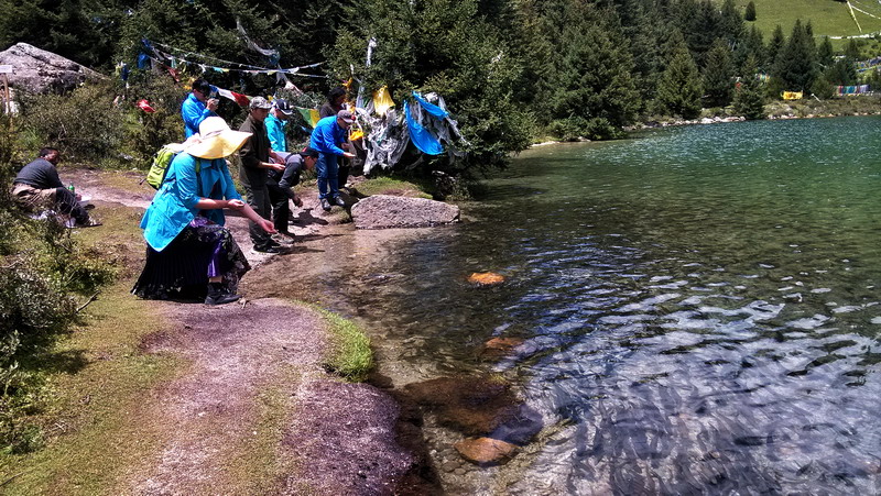 img_20150808_125639.jpg