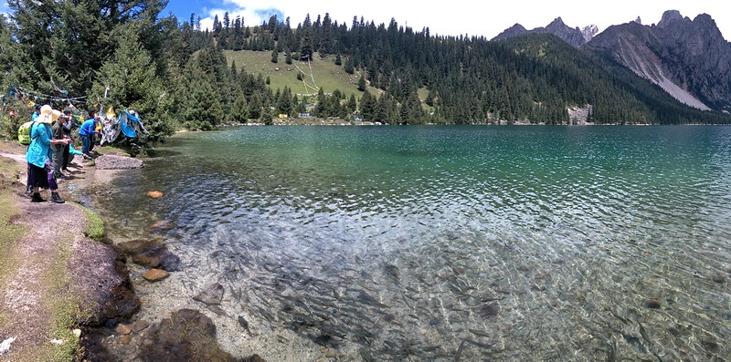 20150808_125654.jpg