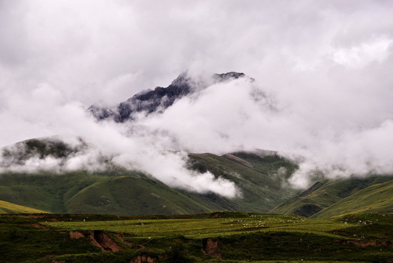 dsc_4452.jpg