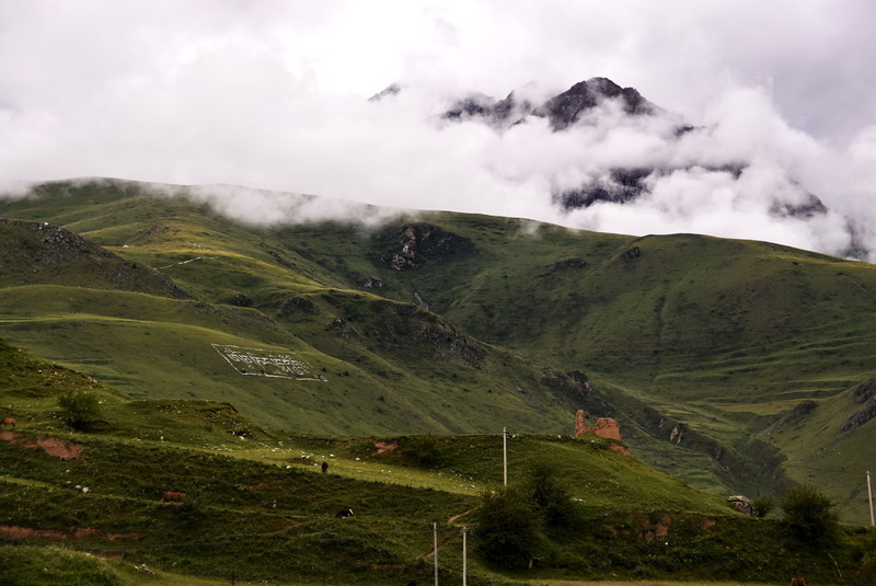 dsc_4459.jpg