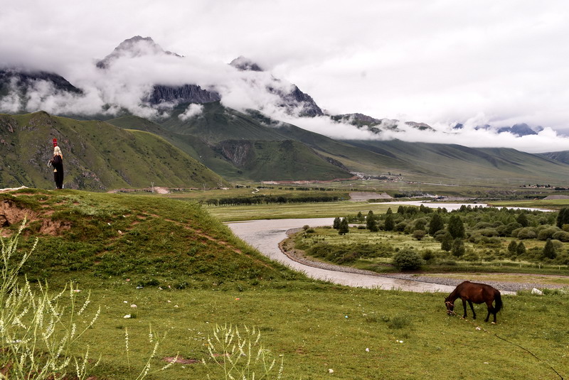 dsc_4504.jpg