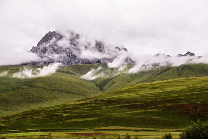 dsc_4535.jpg