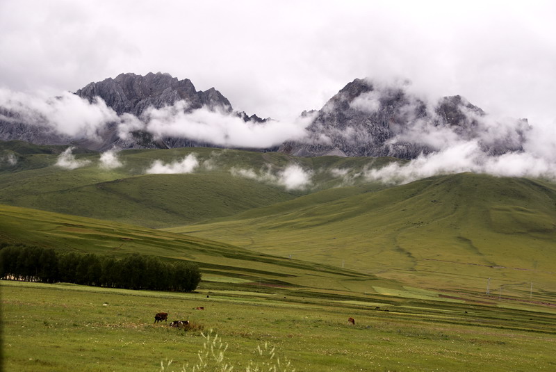 dsc_4539.jpg