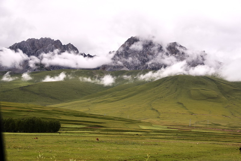 dsc_4540.jpg