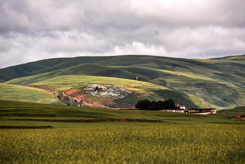 dsc_4544.jpg