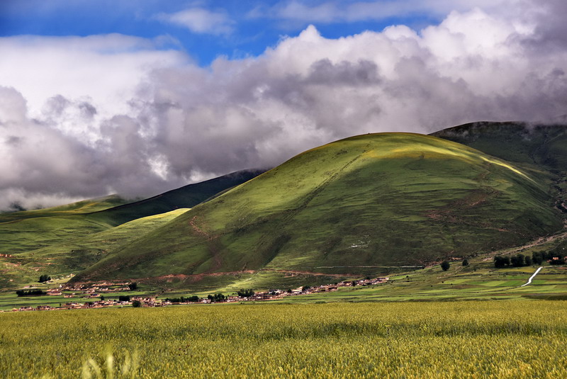 dsc_4542.jpg