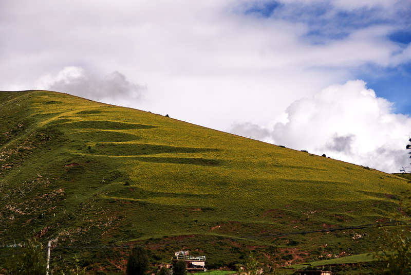 dsc_4560.jpg