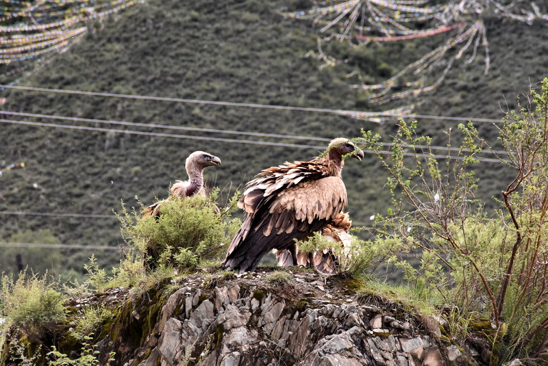 dsc_4647.jpg