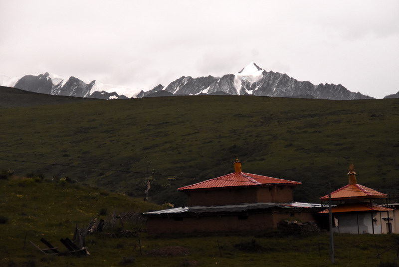 dsc_4450.jpg