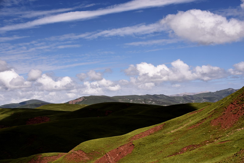 dsc_4667.jpg