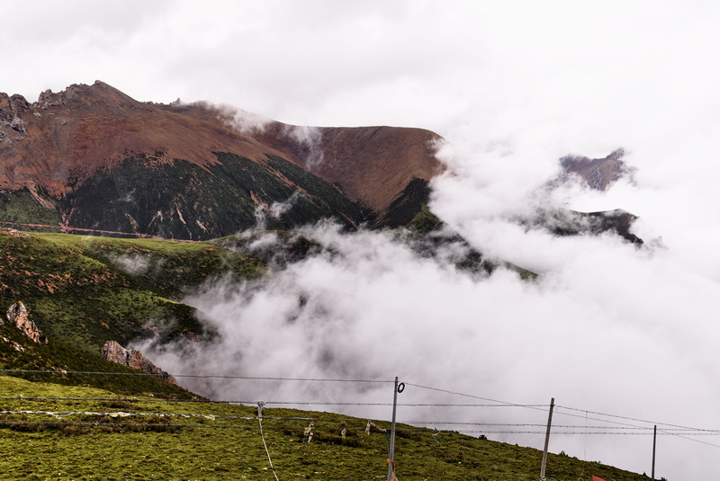 dsc_4764.jpg