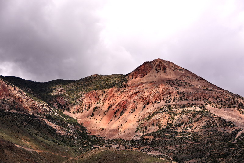 dsc_4853.jpg